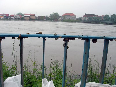 Wielka woda na Dolnym Śląsku, 21.05.10 - relacja - 11
