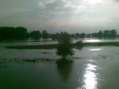 Wielka woda na Dolnym Śląsku, 21.05.10 - relacja - 48