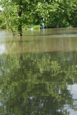 Wielka woda na Dolnym Śląsku, 21.05.10 - relacja - 79