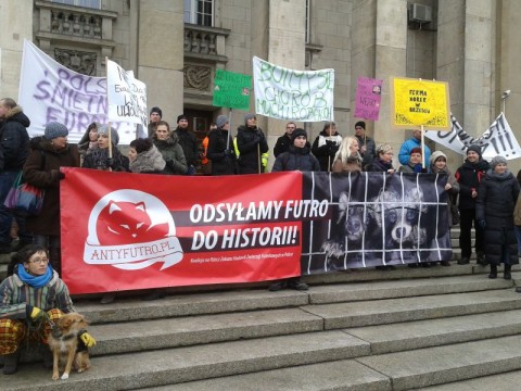 Protest przeciw budowie fermy norek - 0
