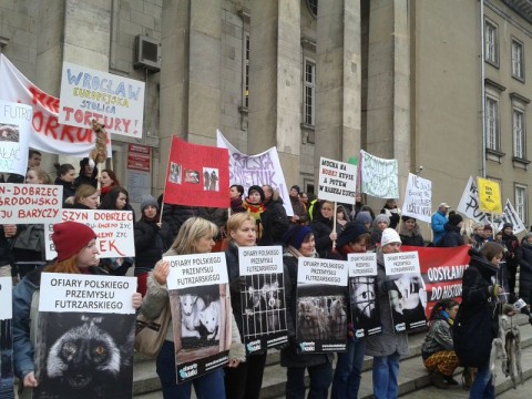 Protest przeciw budowie fermy norek - 3