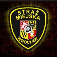 Miał kanadyjskie prawko, dostał mandat - 