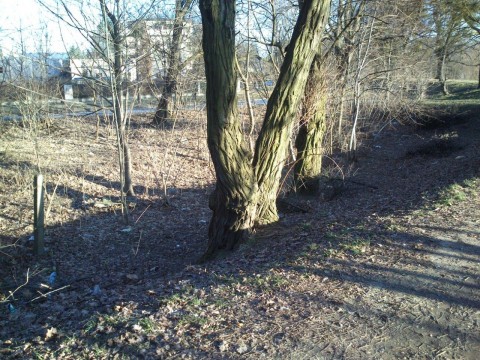 Posprzątaj Wrocław (Wyślij zdjęcia) - 29