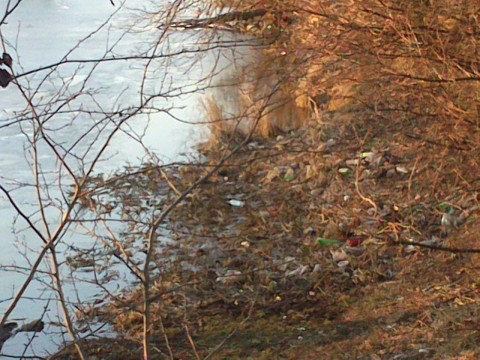 Posprzątaj Wrocław (Wyślij zdjęcia) - 38