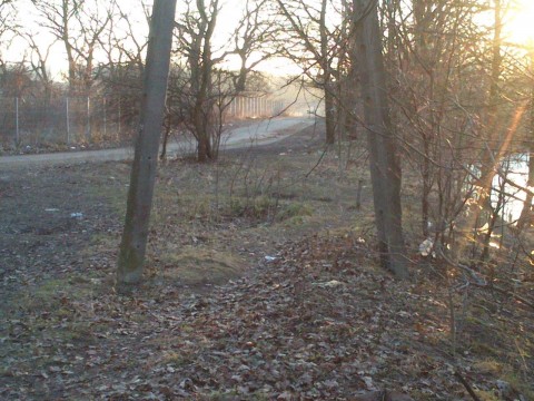 Posprzątaj Wrocław (Wyślij zdjęcia) - 39