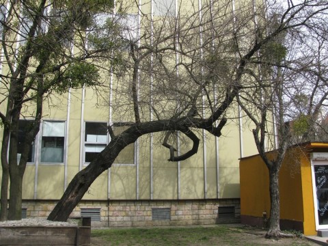 Posprzątaj Wrocław (Wyślij zdjęcia) - 46