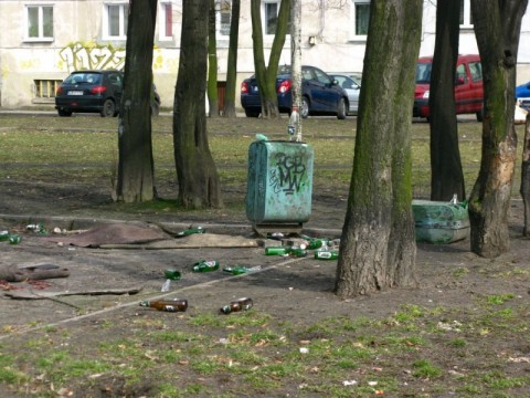 Posprzątaj Wrocław (Wyślij zdjęcia) - 11