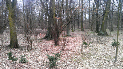 Posprzątaj Wrocław (Wyślij zdjęcia) - 13