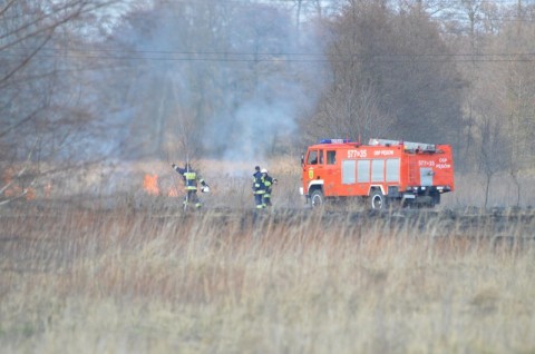 Nie pal trawy. Apelują strażacy - 1