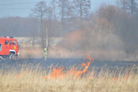 Nie pal trawy. Apelują strażacy - 3