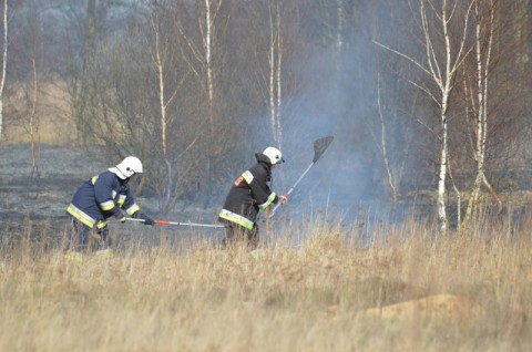 Nie pal trawy. Apelują strażacy - 6