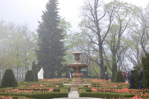 Zamek Książ w kwiatach  - 18
