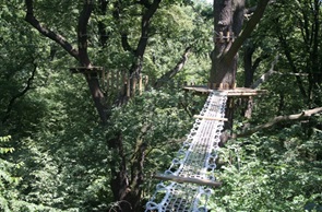 Otworzą za kilka dni park linowy - 1