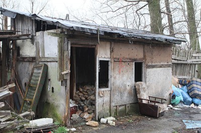 Setki gnijących bochnów chleba... w Świdnicy (Posłuchaj i zobacz zdjęcia) - 0