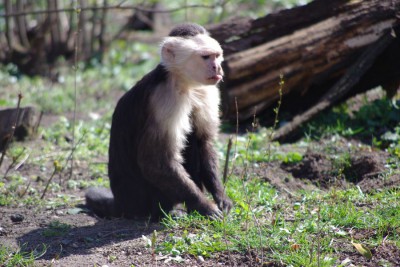 ZOO jeszcze bardziej otwiera się na wiosnę - 1