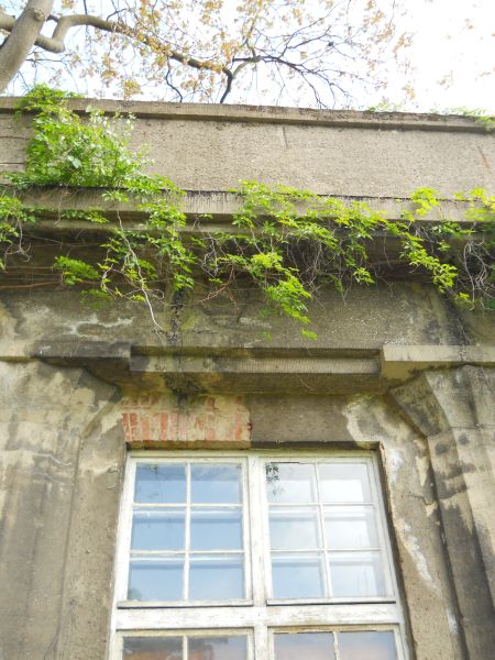 Pawilon się doczekał (ZDJĘCIA) - 10