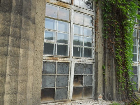Pawilon się doczekał (ZDJĘCIA) - 12