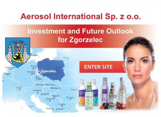 Co dalej z inwestycją w Zgorzelcu? - 