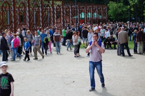 DRJ: Bitwa Żmigrodzka - 36