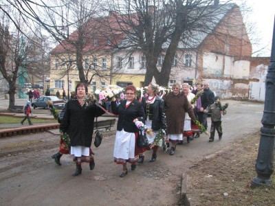 Wielkie palmy w Chełmsku Śląskim (Zobacz) - 0