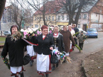 Wielkie palmy w Chełmsku Śląskim (Zobacz) - 1
