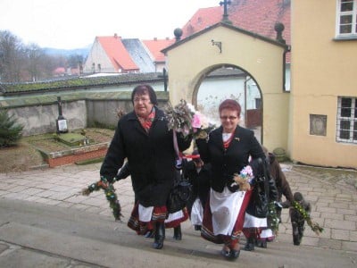 Wielkie palmy w Chełmsku Śląskim (Zobacz) - 2