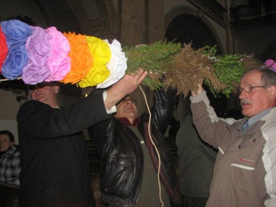 Wielkie palmy w Chełmsku Śląskim (Zobacz) - 4
