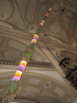 Wielkie palmy w Chełmsku Śląskim (Zobacz) - 6