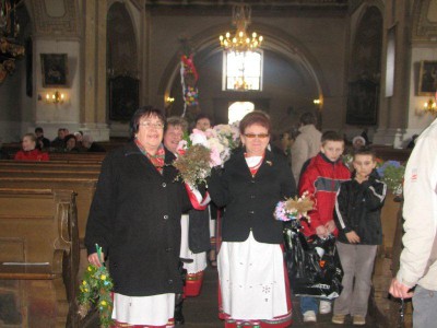 Wielkie palmy w Chełmsku Śląskim (Zobacz) - 7