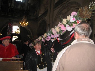 Wielkie palmy w Chełmsku Śląskim (Zobacz) - 9