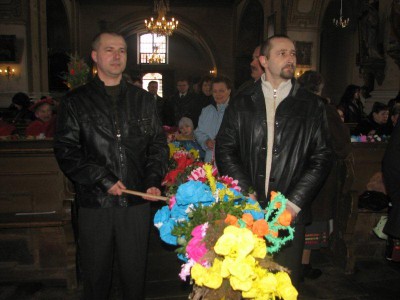 Wielkie palmy w Chełmsku Śląskim (Zobacz) - 10