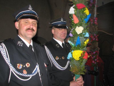 Wielkie palmy w Chełmsku Śląskim (Zobacz) - 12