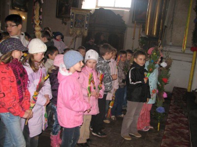 Wielkie palmy w Chełmsku Śląskim (Zobacz) - 13