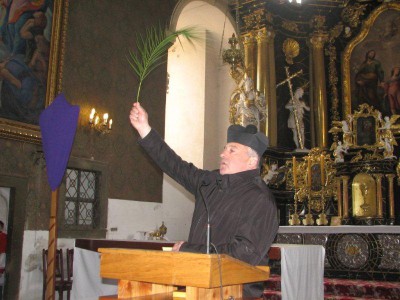 Wielkie palmy w Chełmsku Śląskim (Zobacz) - 14