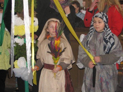 Wielkie palmy w Chełmsku Śląskim (Zobacz) - 15