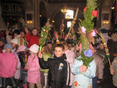 Wielkie palmy w Chełmsku Śląskim (Zobacz) - 16