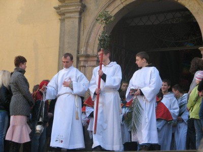 Wielkie palmy w Chełmsku Śląskim (Zobacz) - 18