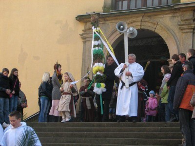 Wielkie palmy w Chełmsku Śląskim (Zobacz) - 19