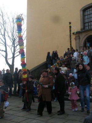 Wielkie palmy w Chełmsku Śląskim (Zobacz) - 20