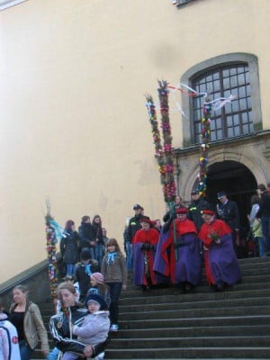 Wielkie palmy w Chełmsku Śląskim (Zobacz) - 21