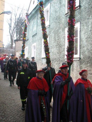Wielkie palmy w Chełmsku Śląskim (Zobacz) - 22