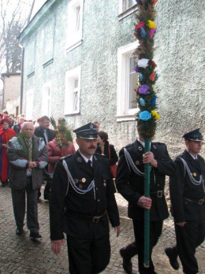 Wielkie palmy w Chełmsku Śląskim (Zobacz) - 23