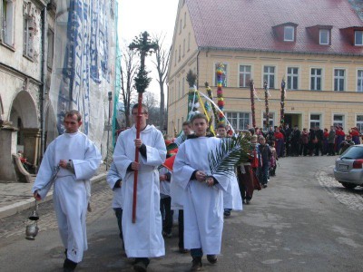 Wielkie palmy w Chełmsku Śląskim (Zobacz) - 24