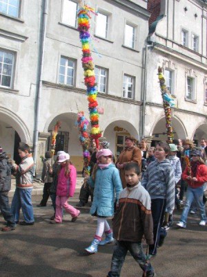 Wielkie palmy w Chełmsku Śląskim (Zobacz) - 25
