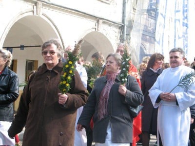 Wielkie palmy w Chełmsku Śląskim (Zobacz) - 26