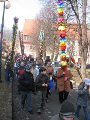 Wielkie palmy w Chełmsku Śląskim (Zobacz) - 28