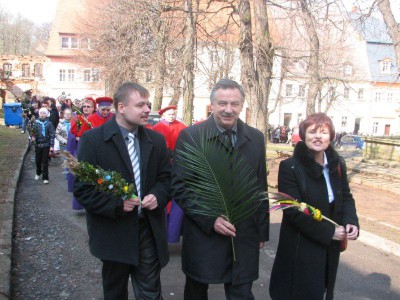 Wielkie palmy w Chełmsku Śląskim (Zobacz) - 29