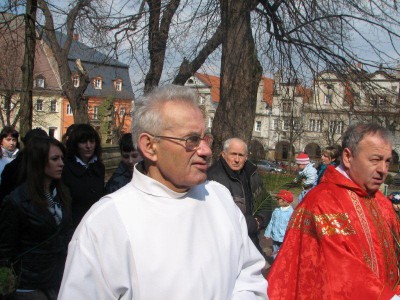 Wielkie palmy w Chełmsku Śląskim (Zobacz) - 30