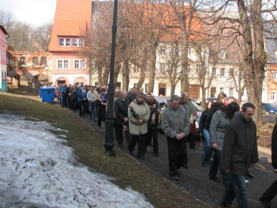 Wielkie palmy w Chełmsku Śląskim (Zobacz) - 31