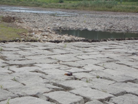 Ale kanał, nie ma wody w Odrze! - 6